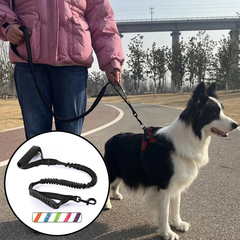 Nylon reflective multi-functional retractable Durable dog leash for Pet Running Training Large Dog Leash Car Seatbelt